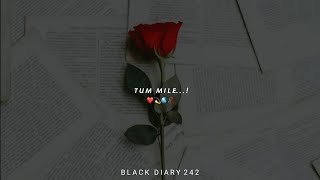 Tum Mile Dil Khile WhatsApp Status 😍 Love WhatsApp Status 😍 Latest Status Video