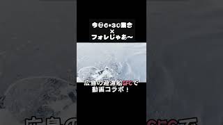 広島の遊漁船GFCサワラゲームwithフォレじゃあ～