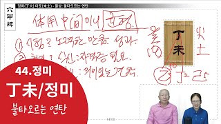 44.丁未 - 정화(丁火) 미토(未土) [육갑패]