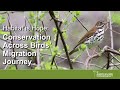 Habitat is Hope: Conservation Across Birds' Migration Journey  | ABC Webinar