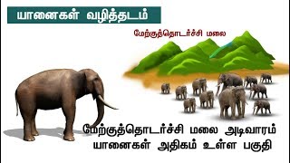 மீண்டும் சின்னத்தம்பி ஊருக்குள் வருவதற்கு காரணம்? யானைகளின் முக்கிய வழித்தடம்? | #Elephant