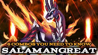 SALAMANGREAT - 6 COMBOS YOU NEED TO KNOW!