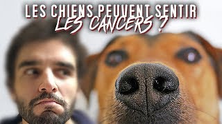 LES CHIENS PEUVENT SENTIR LES CANCERS ? Vrai ou Faux #82