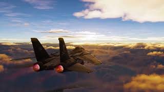 Lively Live Desktop Wallpaper | F-14B Sunset Ride