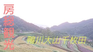 [鴨川市]大山千枚田の景色を眺めてきました。