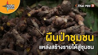 ผืนป่าชุมชนแหล่งสร้างรายได้สู่ชุมชน | วิถีทั่วไทย  | ทุกทิศทั่วไทย