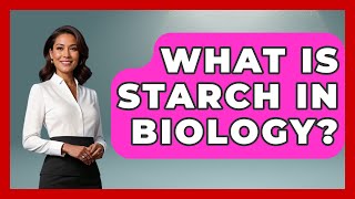 What Is Starch In Biology? - Biology For Everyone