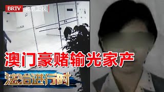 女子澳门豪赌输光家产, 应聘出纳盗窃财务680万, 被抓时680万已输光【法治进行时】