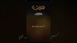 AL Quran Kareem #viralvideo #youtube#qurantranslation #qurantranslation #ayat