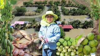 น้ำเค็ม..ดินกร่อย​ก็ทำเกษตรสำเร็จได้!! แบ่งที่นามาทำเกษตรผสมผสาน​ คนถามได้ทุนคืนเมื่อไหร่?คำตอบคือ..