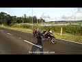 insane malaysian scooter drivers