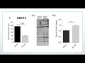 Pathway of Burn-Induced Cardiac Dysfunction