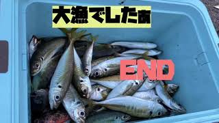 【魚釣り！海】大漁！#とげとげ！長崎県平戸市で大漁大漁