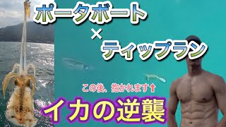 【ポータボートエギング】アオリイカの逆襲in福井in無人島周辺【ティップラン】