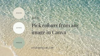 How to pick a colour and it's hex code from any image, in Canva