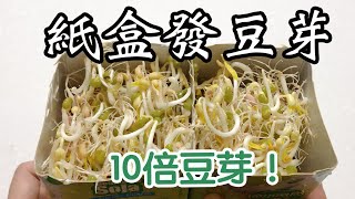 發豆芽🫘🥬非常成功💪🏻天然無添加👍🏻衛生👏🏻好吃又營養😎簡單方便🙌🏻只需1個飲品紙盒