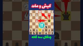 دام شروع بازی! #شطرنج #chess