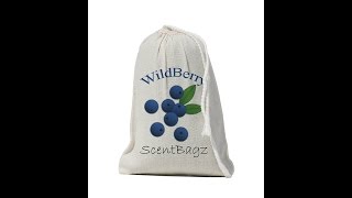 ScentBagz Air Freshener - air freshener for home