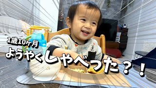 [自閉症]発語の爆発が始まったかも！【うーたんねる】１歳１０ヶ月