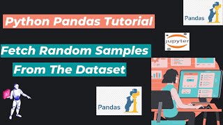 42. How to Fetch Random Samples From The Dataset?