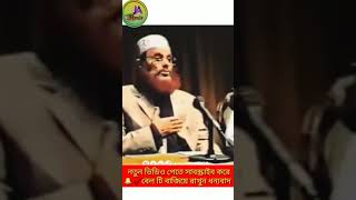 অনেক খোঁজাখুঁজির পর পেলাম