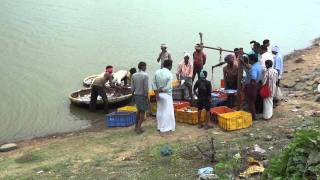 Fish Farming in Karnataka