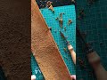 Skiving leather #craft #handmade #how #leather #leathercraft #tools #asmr #shorts #share