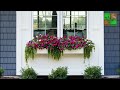 garden under the room window design inspiration and ideas