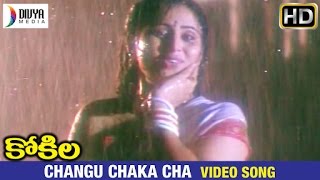 Kokila Telugu Movie Songs | Changu Chaka Cha Video Song | Shobana | Naresh | Divya Media