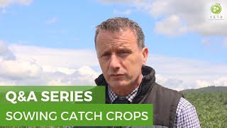 Q\u0026A Series: Top tips for sowing catch crops | Irish Seed Trade Association