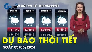 Dự báo thời tiết ngày 3/3/2024: Hà Nội có mưa vài nơi, trời rét đậm rét hại; Nam Bộ nắng nóng