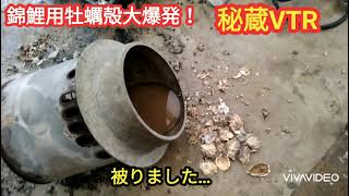 R3.2.14 錦鯉飼育用牡蠣殻つくり🌟大爆発！竈ロケットが1mジャンピング屋根突き破るか！？