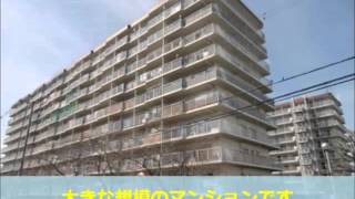 八尾市中古マンション　八尾山本レックスマンション　【八尾市　不動産　株式会社MIMA】