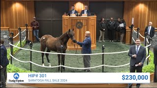 Cyberknife filly sells for $230,000 at Saratoga Fall Mixed (2024)