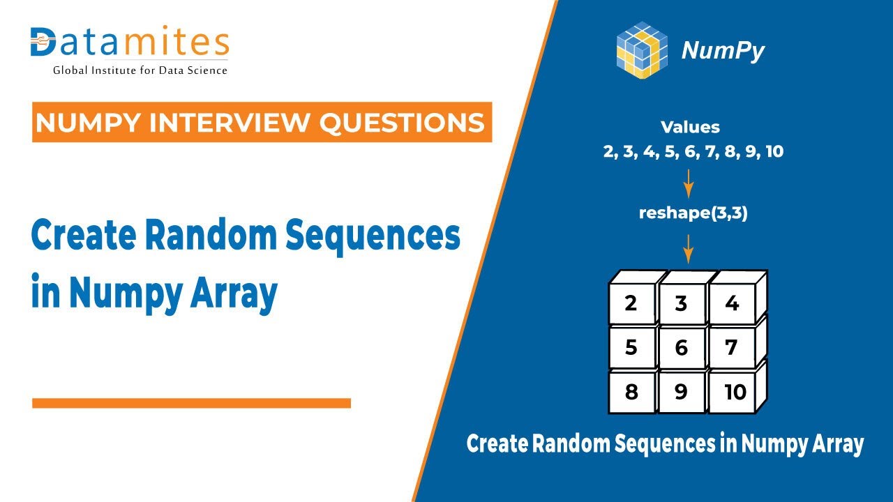 Create Random Sequences In Numpy | Python Numpy Tutorial - YouTube