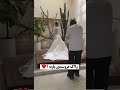 چقدر داماد خوبه چقدر بهم ميان خيلی خوبن دو تاشون با ارزوی خوشبختی❤️