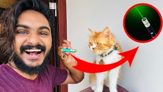 LASER VS LAZY CAT 🤣🤣🤣 പാവം വട്ടായി l UNBOXINGDUDE l