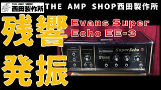 【売約済】美品！国産テープエコーの隠れた名機　EVANS EE-3 Super Echo【SOLD】