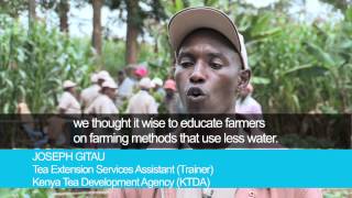 Addressing climate change in Kenya's tea sector - ITC