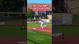 Is This Ball Foul?? Ump Says it is but the Ball Hits the Line  #baseball #shorts #umpire