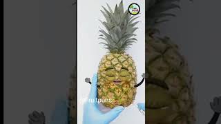 Goodland | Pineapple surgery  birth of 12 small pineapples.  😂  #doodles #animation#cartoon