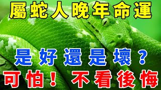 人算不如天算！屬蛇人晚年命運如何？是好還是壞？太可怕了，不看後悔！【佛語禪音】#生肖 #命理 #運勢 #屬相 #風水