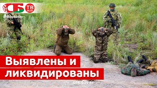 Гродненские пограничники нашли и ликвидировали группу вооруженных бандитов