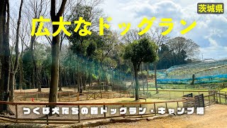 【つくば犬たちの森ドッグラン・キャンプ場(全サイト徹底ガイド)】ドッグ連れキャンパー必見！全サイト電源・水道付きの穴場キャンプ場［茨城県］