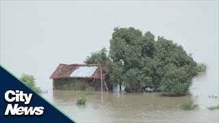 Crop harvests destroyed; thousands evacuated as India copes with severe flooding