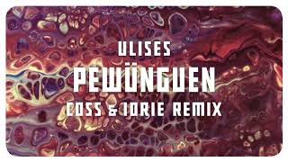 Ulises - Pewünguen (Coss \u0026 Iorie Remix)