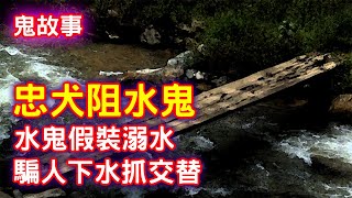 【鬼故事】水鬼假裝溺水，騙人下水抓交替｜芝麻