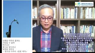 한국디카시연구소 KDI방송 디카시 한 편이 주는 위안과 힐링 115_ 정수경 디카시 '달꽃 피다'