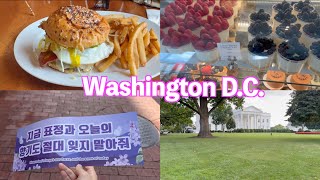 【vlog(Eng sub)】IUに会うためワシントンD.C.に行きました。Trip to Washington D.C.【社会人 犬log】