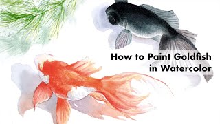 水彩画　金魚の制作手順／How to Paint Goldfish in Watercolor